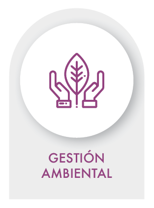 GESTIÓN AMBIENTAL